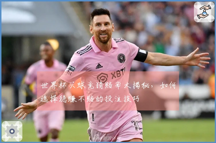 世界杯买球竞猜赔率大揭秘，如何选择稳赚不赔的投注技巧