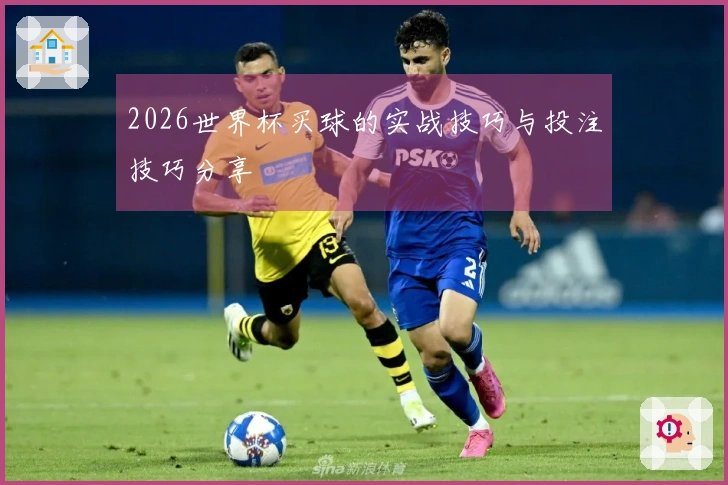 2026世界杯买球的实战技巧与投注技巧分享