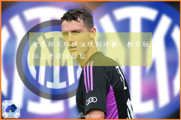 世界杯买球投注规则详解，教你轻松上手投注体验