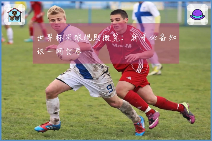 世界杯买球规则概览：新手必备知识一网打尽