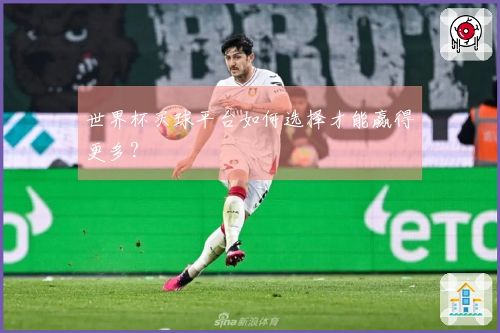 世界杯买球平台如何选择才能赢得更多？