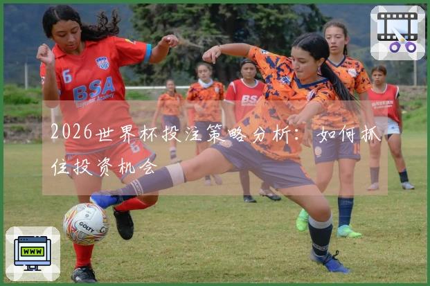 2026世界杯投注策略分析：如何抓住投资机会
