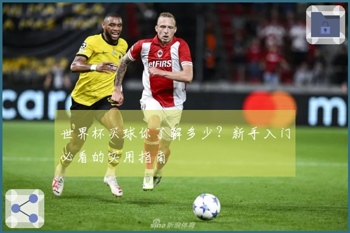 世界杯买球你了解多少？新手入门必看的实用指南