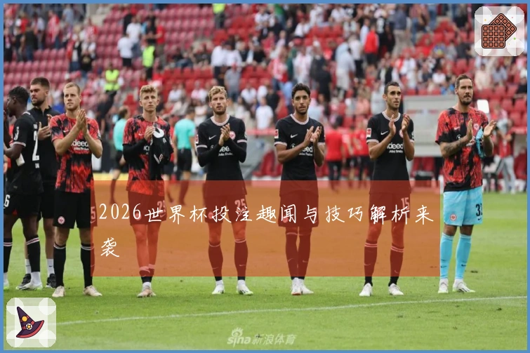 2026世界杯投注趣闻与技巧解析来袭