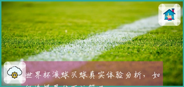 世界杯滚球买球真实体验分析，如何选择最佳下注策略