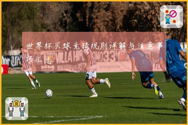 世界杯买球竞猜规则详解与注意事项汇总
