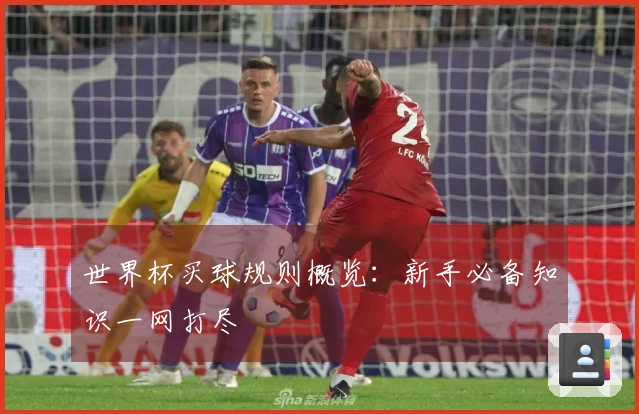 世界杯买球规则概览：新手必备知识一网打尽