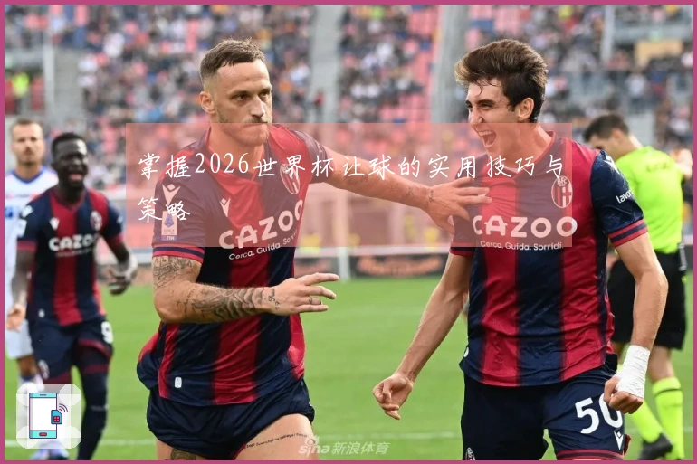掌握2026世界杯让球的实用技巧与策略