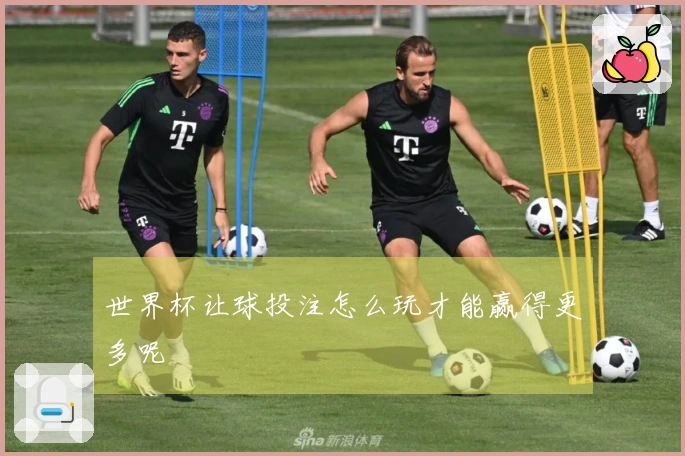 世界杯让球投注怎么玩才能赢得更多呢