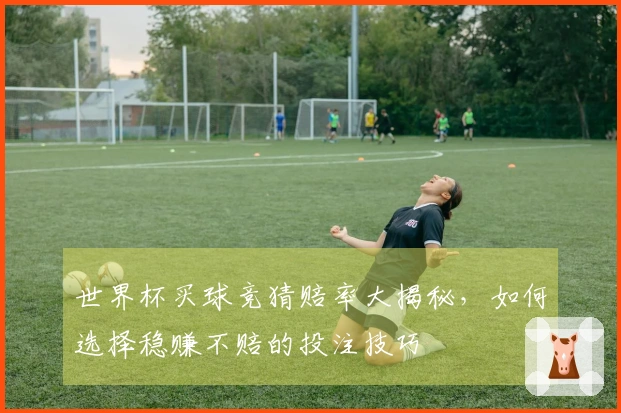 世界杯买球竞猜赔率大揭秘，如何选择稳赚不赔的投注技巧