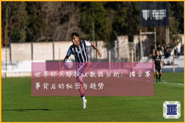 世界杯买球投注数据分析：揭示赛事背后的秘密与趋势