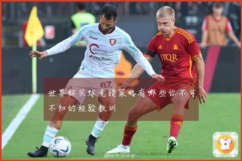 世界杯买球竞猜策略有哪些你不可不知的经验教训