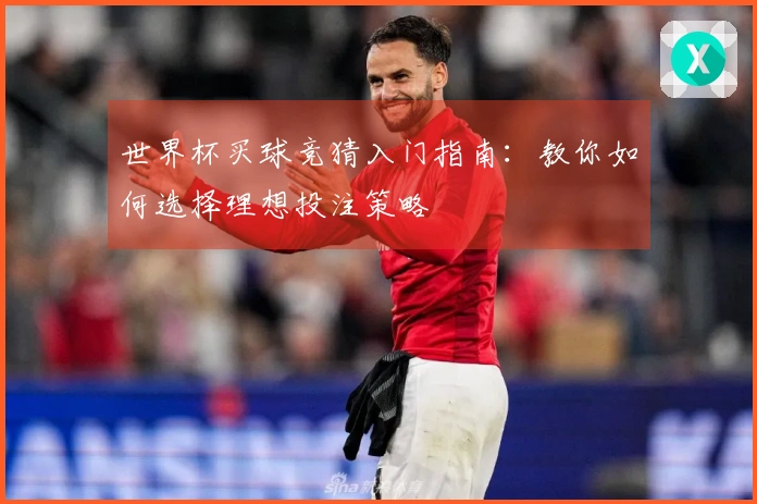 世界杯买球竞猜入门指南：教你如何选择理想投注策略