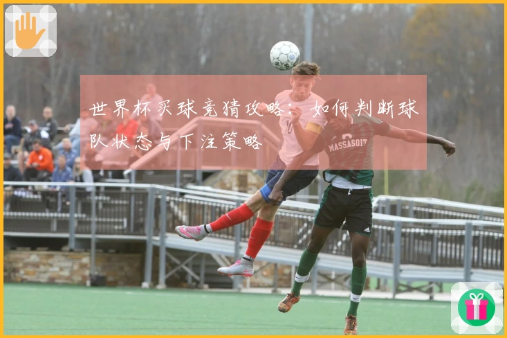 世界杯买球竞猜攻略：如何判断球队状态与下注策略