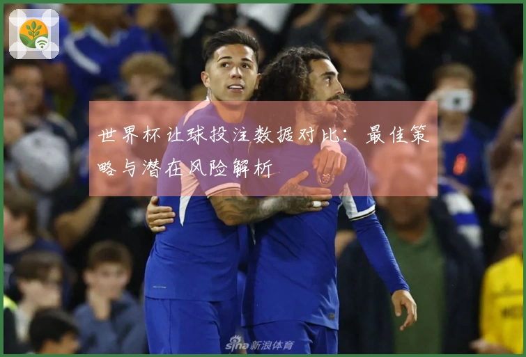 世界杯让球投注数据对比：最佳策略与潜在风险解析