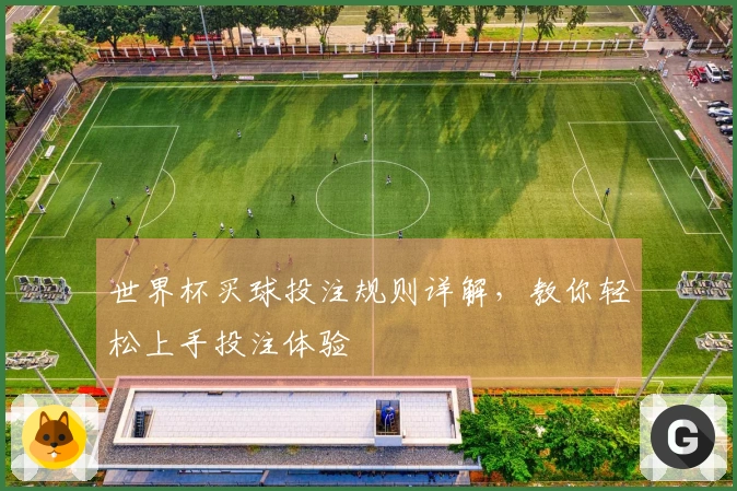 世界杯买球投注规则详解，教你轻松上手投注体验