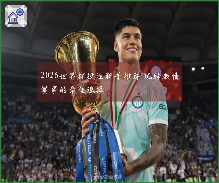 2026世界杯投注新手推荐 玩转激情赛事的最佳选择