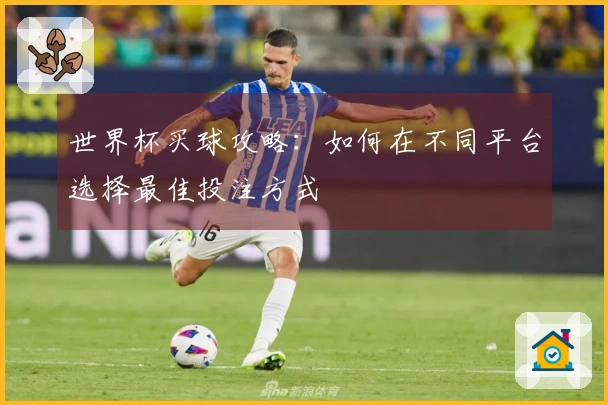 世界杯买球攻略：如何在不同平台选择最佳投注方式
