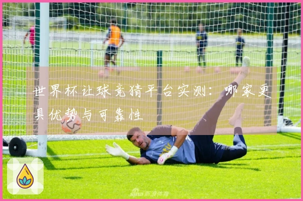 世界杯让球竞猜平台实测：哪家更具优势与可靠性