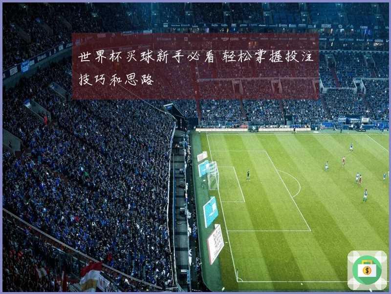 世界杯买球新手必看 轻松掌握投注技巧和思路