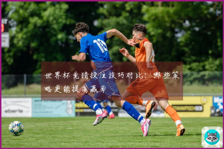 世界杯竞猜投注技巧对比：哪些策略更能提高赢率